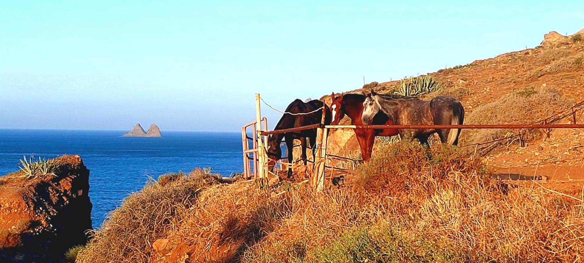 Casa Tucho Paraiso Sea Sound Santa Cruz de Tenerife Eksteriør billede